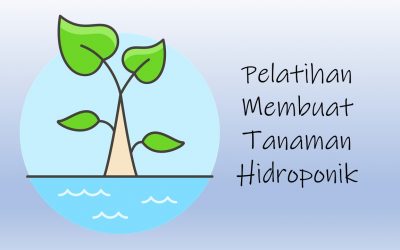 Pelatihan Membuat Tanaman Hidroponik